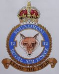12 Squadron operations
